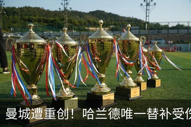 曼城遭重创！哈兰德唯一替补受伤 马雷斯卡亲承伤停8周